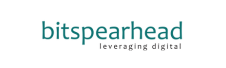 Client Logo Bitspearhead Ranks On Fire